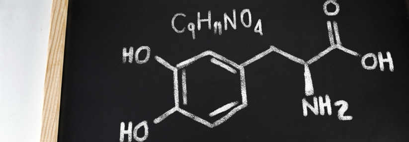 Levodopa ist eine Vorstufe von Dopamin, aber auch anderer Neurotransmitter.