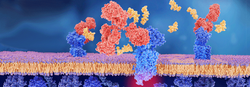 Der CGRP-Antikörper scheint auch beim Clusterkopfschmerz zu helfen.