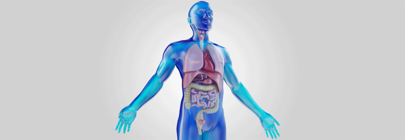 Die Erkrankung betrifft Drüsen, Nieren, Lunge und Gefäße.