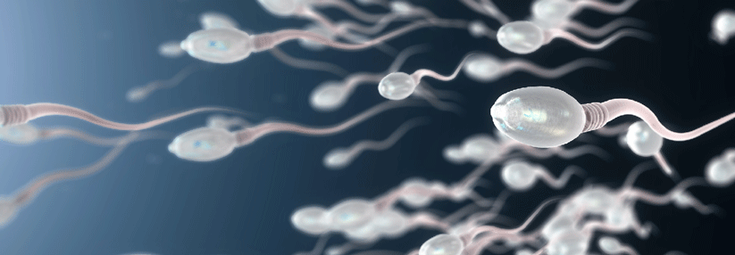 Sperma in der Krise: Die Angst vor COVID-19 hat womöglich Folgen für den ungeborenen Nachwuchs.