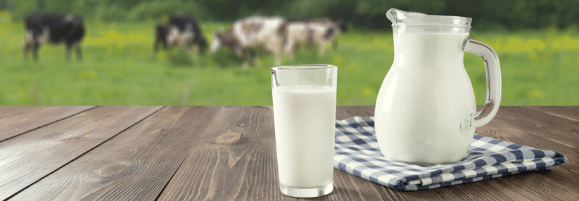 Schon kleine Milchmengen erhöhen das Risiko, an Brustkrebs zu erkranken.