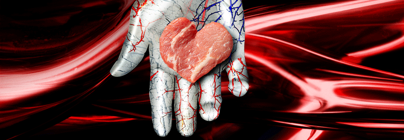 Die Abbauprodukte aus rotem Fleisch und Eiern lassen die Arterien rapide altern.
