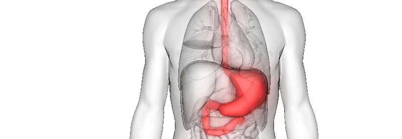 Speiseröhren- und Magenkrebs mit PD1-Hemmer erfolgreich behandeln.