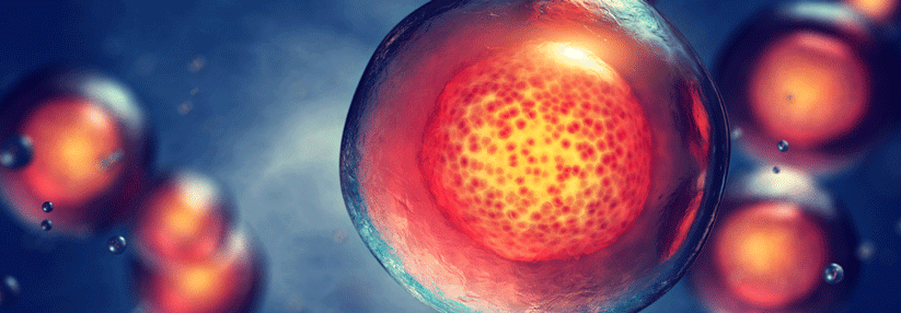 Altersgerechte Betreuung bei Stammzelltransplantationen! Ein Grund für das Mehr an Stammzelltransplantationen in hohem Alter: die gestiegene Lebenserwartung.