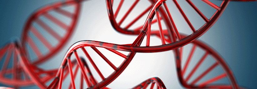 HER2+ Mammakarzinom: Welche Rolle spielt der CD16A-Genotyp bei der Therapie? Eine statistische Signifikanz war aufgrund der kleinen Fallzahl nicht möglich.