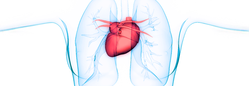 Die Fachgesellschaft empfiehlt den Begriff „periodische Atmung bei Herzinsuffizienz“.