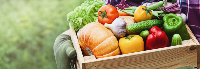 Wer öfter Obst und Gemüse isst, reduziert sein Asthmarisiko. Bei bereits Erkrankten mildert es die Symptome.