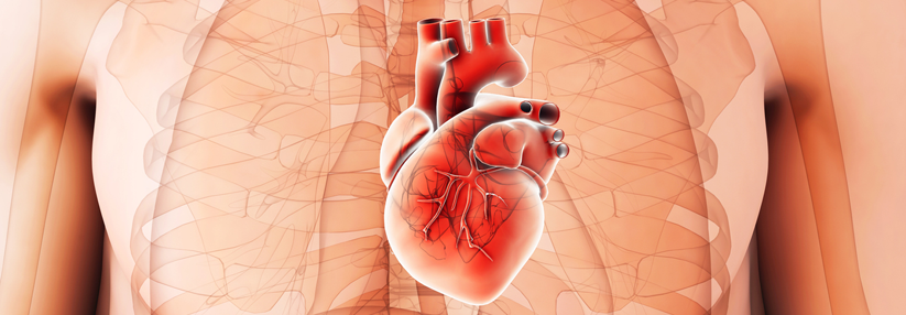 Es gibt drei klare Kriterien für die Diagnose einer diastolischen Herzinsuffizienz.