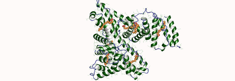 Humanalbumin kann noch mehr als erwartet.