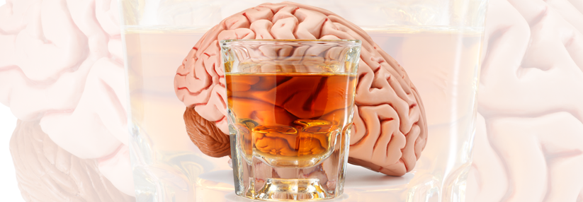 Der chronische Alkoholkonsum wirkt sich negativ auf das Gehirn aus.