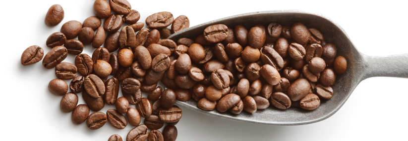 Bereits eine Tasse Kaffee täglich wirkte sich positiv auf die Prognose von Patienten mit Darmkrebs aus.