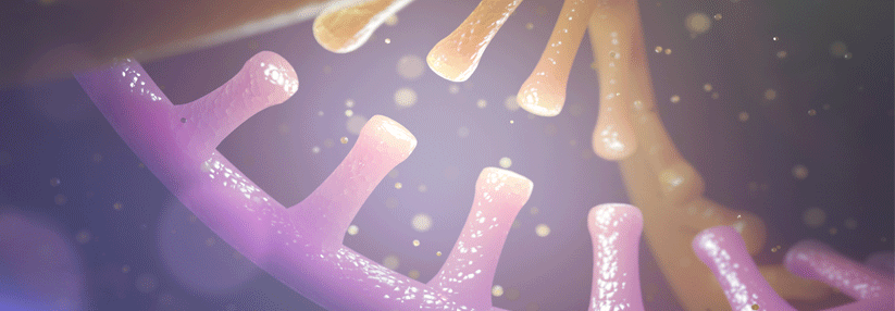 Defekter RNA ins Handwerk pfuschen Ein interferierendes Therapeutikum gibt Hoffnung bei hereditärer Amyloidose.