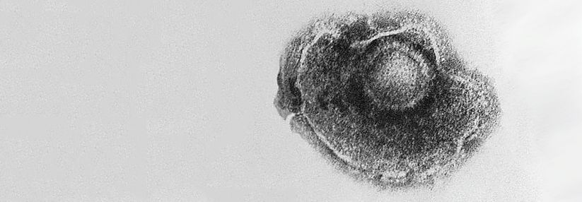 Orale Hemmer holen auf Die Möglichkeit, an Herpes zoster zu erkranken, sollte man bei JAK-Inhibitoren immer auf dem Schirm haben.