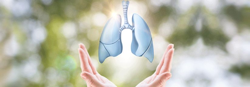 Therapien für Lungenerkrankung bei Sklerodermie in Sicht Die zunehmende Fibrosierung der Lunge im Zuge der ILD ist eine der Haupttodesursachen bei Patienten mit Sklerodermie.