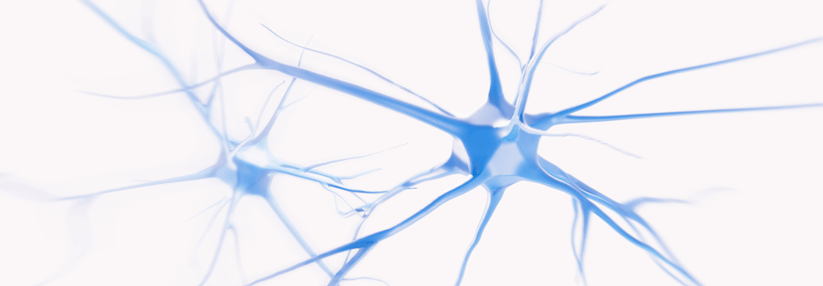 Der orale MS-Immunmodulator punktet auch bei der Sicherheit.