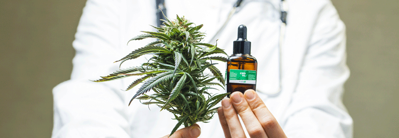 Medizinische Cannabisprodukte mit gesicherter Qualität. (Agenturfoto)