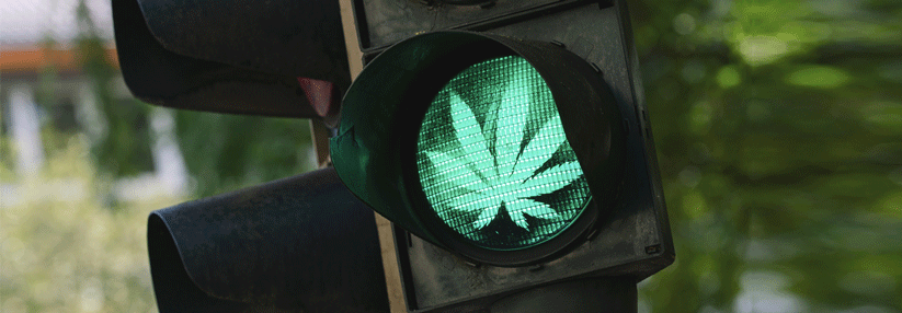 Kaum Verkehrsunfälle durch THC Auch wenn die Dosierung ärztlich festgesetzt ist, fahren sollten Patienten erst bei Stabilisierung.