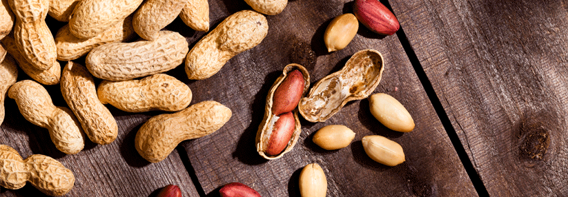 Auf Erdnüsse sollte man bei nachgewiesener Allergie verzichten. Das gilt aber nicht unbedingt für Mandel, Walnuss und andere.