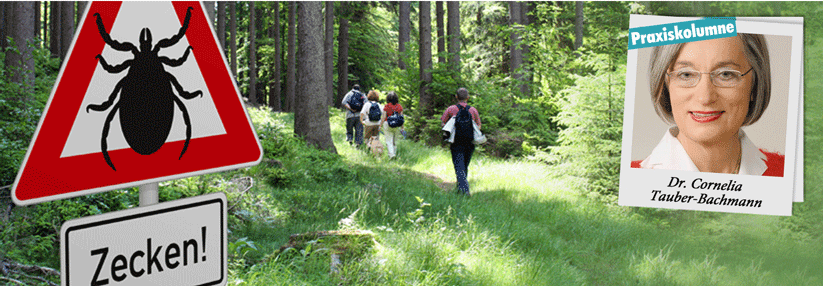 Zecken, Holzböcke und Stechmücken freuen sich auf die Wanderer.