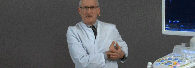 Neue DVD mit Kurs zur Abdomen-Sonographie