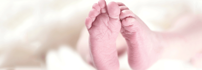 Tyrosinämie Typ I wurde im März als dreizehnte Erkrankung in das Neugeborenen-Screening aufgenommen.