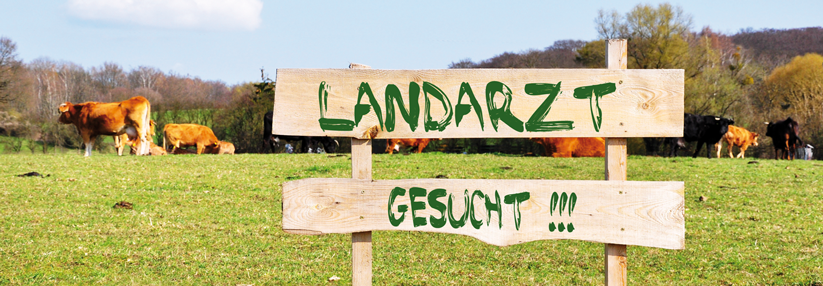 Die ersten Landarzt-Studierenden werden in rund zehn Jahren als Fachärzte in der Versorgung ankommen.