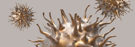 Diabetes-Medikament verringert Graft-versus-Host-Reaktionen nach Stammzelltransplantation