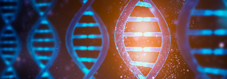 Die acht Risikogene des Mammakarzinoms– helfen DNA-Tests bei der Früherkennung?