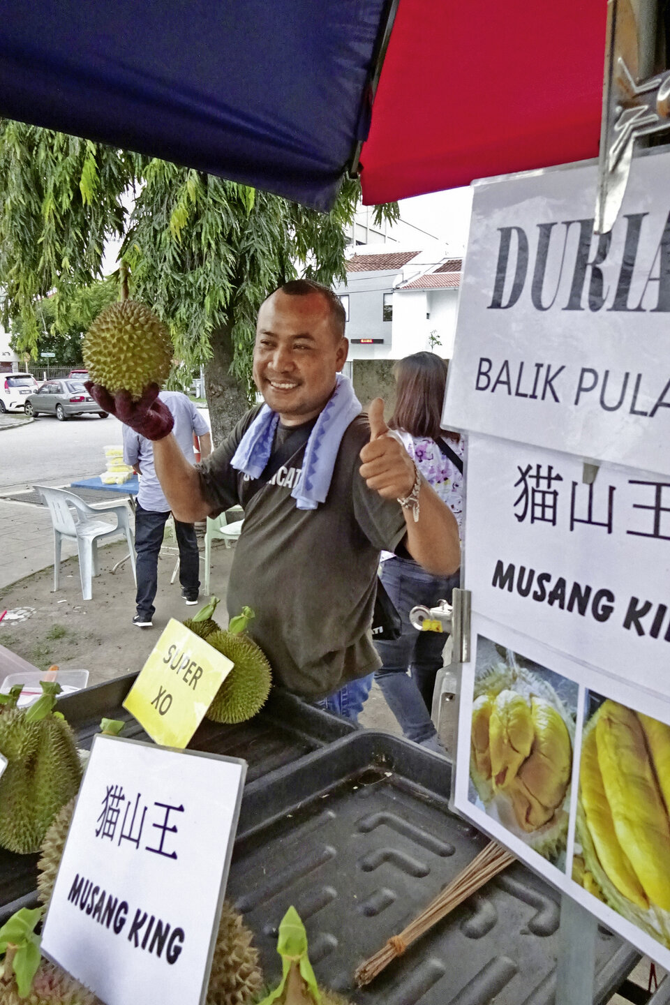Abb. 6: Durian – die Wunderfrucht auf dem "Naschmarkt" von George Town: sehr schmackhaft, aber wegen ihres unangenehmen Geruchs u. a. in Hotels, Verkehrsmitteln und auf dem Flughafen verboten.     