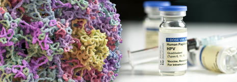 HPV-assoziierte Karzinome: Screening-Strategien nicht nur für Zervixkarzinome wichtig