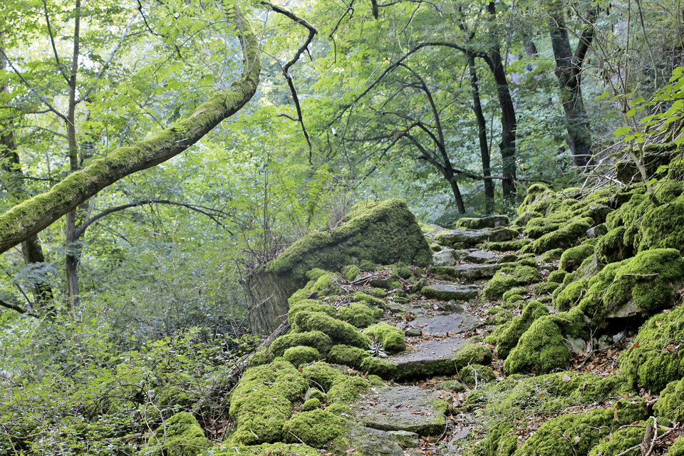 Eine wild-romantische Landschaft im Müller-
thal.