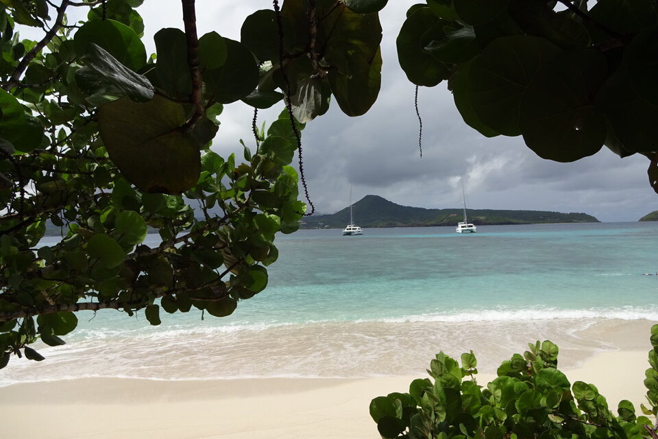 Paradiesischer Strand auf Sandy Island.