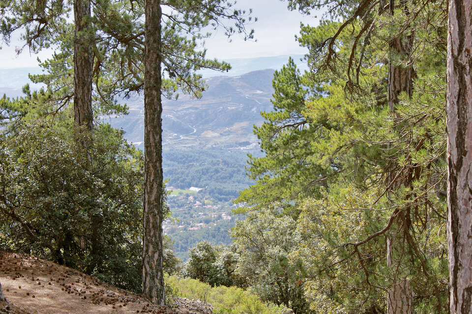 Schöne Aussichten im Troodos-Gebirge.