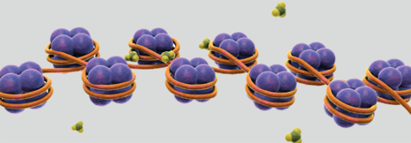 HDAC-Inhibitor liefert bei peripheren T-Zell-Lymphomen gemischte Ergebnisse