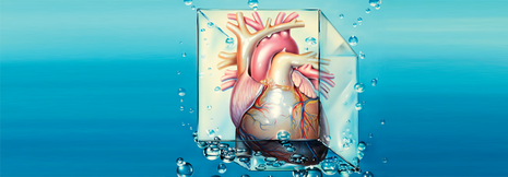 Sechs Targets in der HFpEF-Therapie