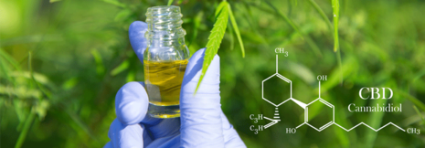 Cannabistherapie ohne Genehmigungsvorbehalt – Selektivvertrag statt Antragsverfahren