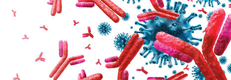 Coronaimpfung für Patienten mit CLL und Multiplem Myelom weniger wirksam