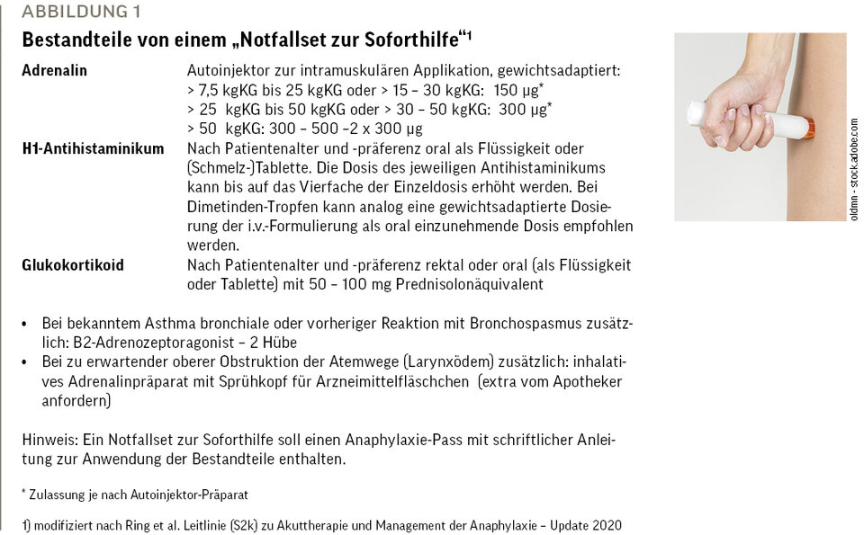Abb. 1: Bestandteile von einem „Notfallset zur Soforthilfe“ [1]