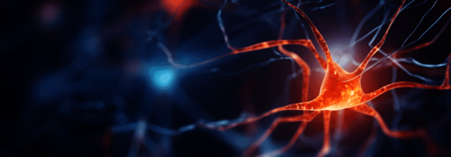 PIRA besser verstehen und behandeln