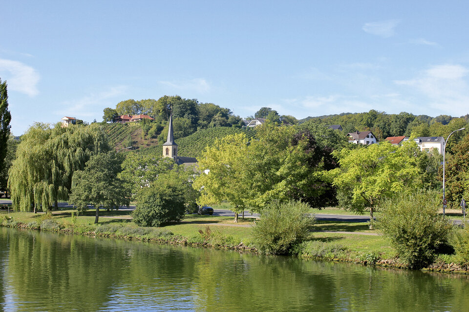 Direkt an der Mosel liegen kleine Orte, Wein-
lagen und Burgen.