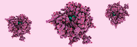 Erhaltung mit PARP-Inhibitor verlängert bei Eierstockkrebs Überleben um 13 Monate