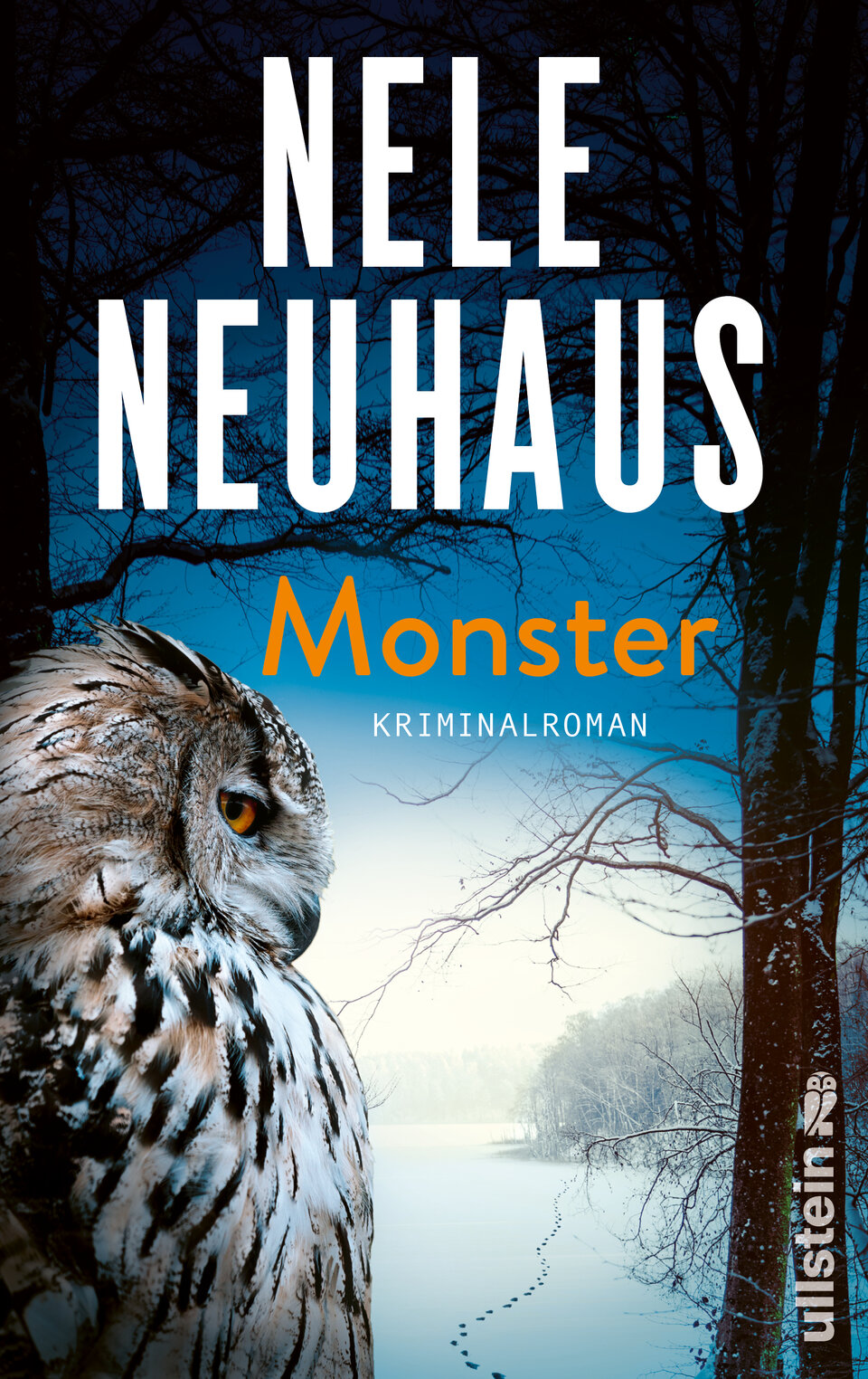 Nele Neuhaus: Monster, Ullstein Hardcover, ISBN: 9783550202254, Euro 24,99
