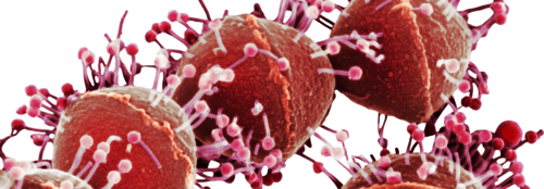 Renaissance der Phagentherapie