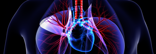 PAHTherapie nimmt Fahrt auf