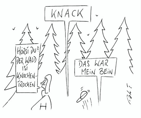 Knochen und Gelenke