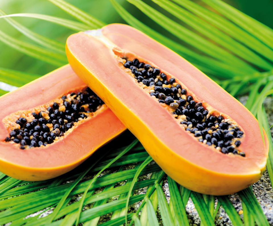 Papain aus der Papaya