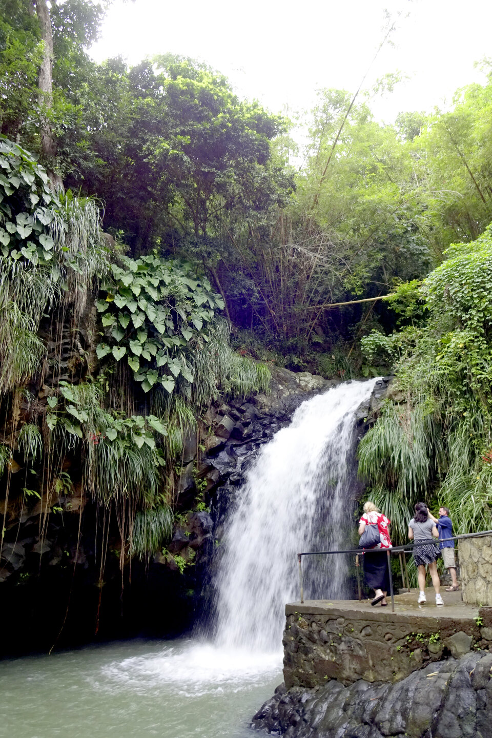 Der Annandal-Wasserfall, einer von insgesamt sechzehn an der Zahl  auf der Karibikinsel, stürzt mitten in tropischer Vegetation 10 Meter in die Tiefe