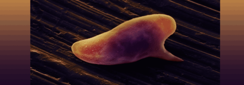 Schrecken aus der Tiefe