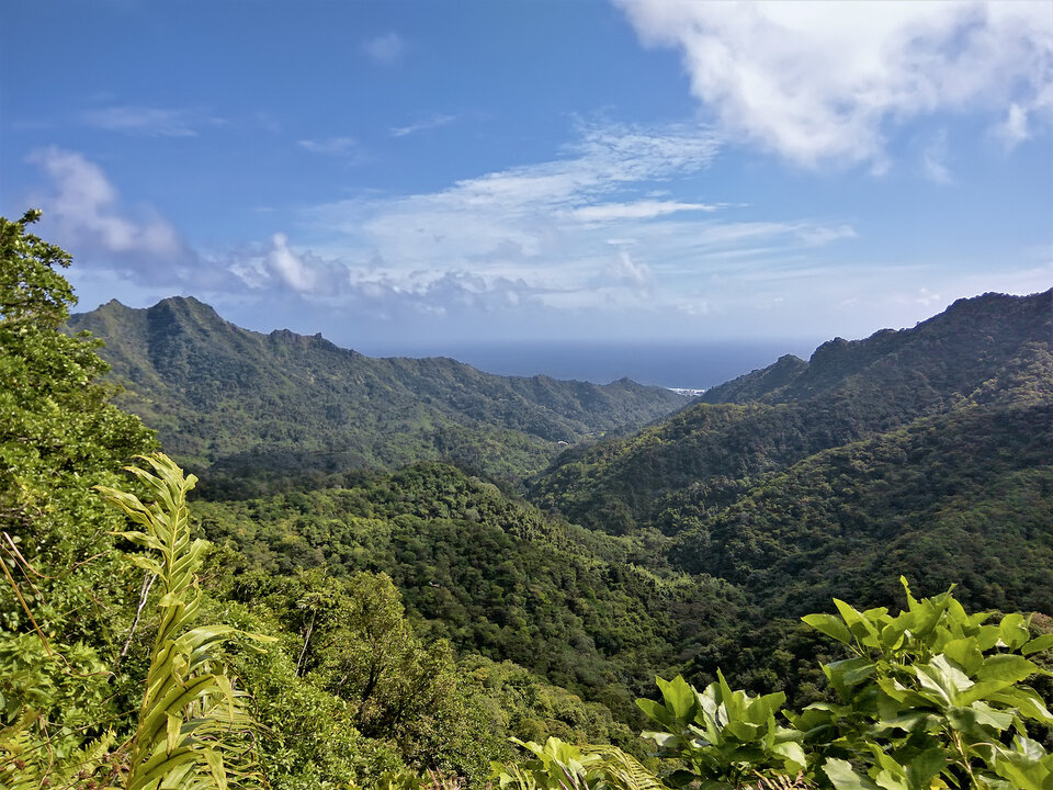 Rarotonga mit Aussicht über die Insel