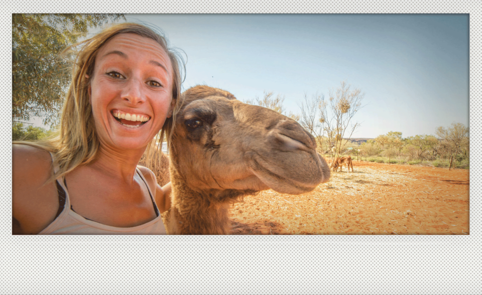 Nach dem Selfie mit einem Kamel war das Gesicht einer jungen Frau nicht mehr schön anzusehen. Sie hatte dem Tier fürs Foto ein Küsschen gegeben. (Agenturfoto)